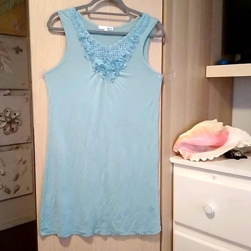 Lapis nightgown sz L